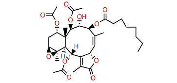 Briviolide F